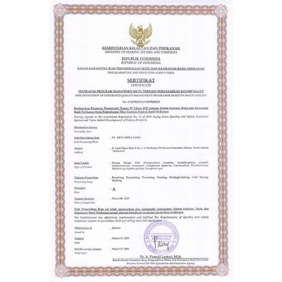 Ikan Salmon Fillet 250 Gram Portion Cut / Sashimi Grade / Premium Quality / Seafood 22