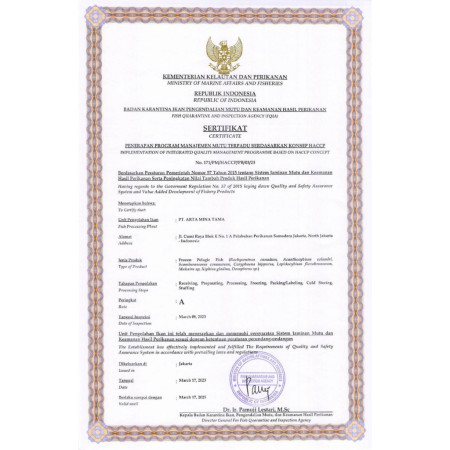 Ikan Salmon Fillet 250 Gram Portion Cut / Sashimi Grade / Premium Quality / Seafood 22