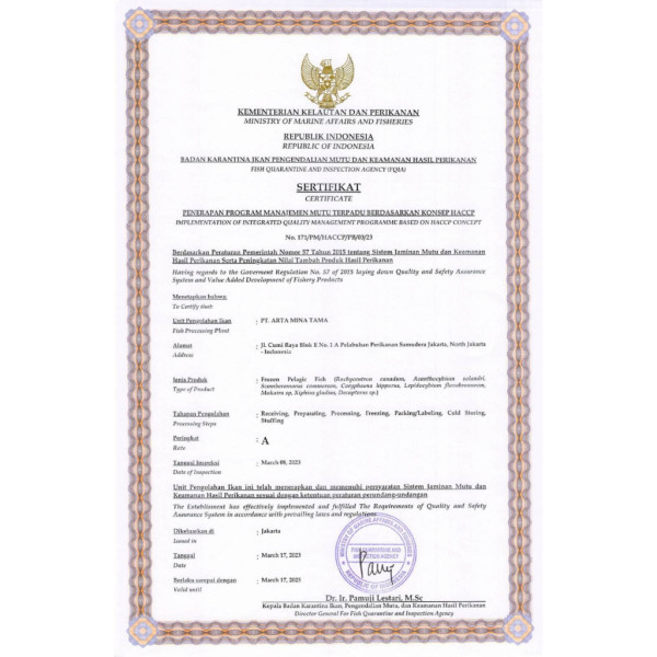 Ikan Salmon Fillet 250 Gram Portion Cut / Sashimi Grade / Premium Quality / Seafood 22