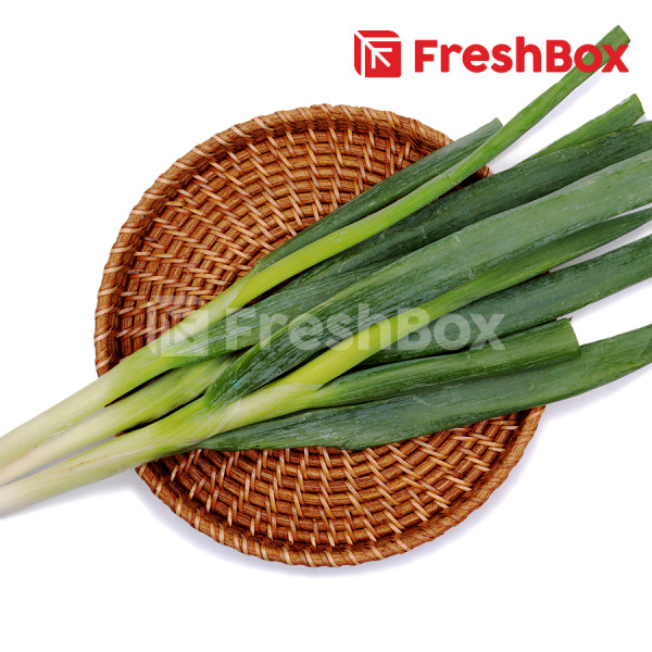 Daun Bawang Besar 100 gr Freshbox