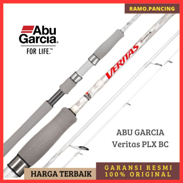 Joran Pancing ABU GARCIA Veritas PLX BC