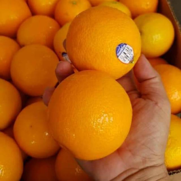 Buah Sunkist Navel Fresh 1 kg