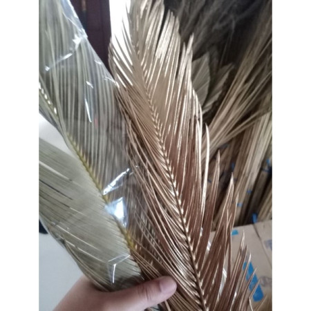 Paket Bunga Kering+Pot Mendong+Daun Palem Kering+Pampas