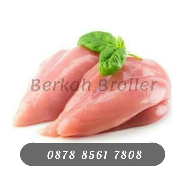 Fillet Dada Ayam / Boneless Dada Ayam
