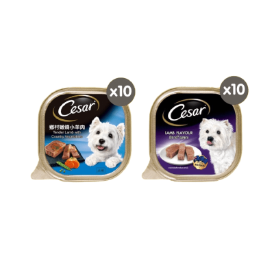 Cesar Makanan Anjing Premium Basah Multivariant 100 gr - Isi 24