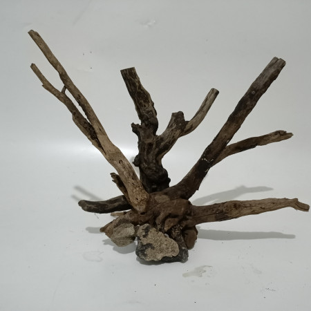 Akar Kayu Aquascape P46xL23xT32 cm