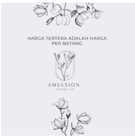 Bunga Dandelion Premium Artificial 56,5cm Impor Dekorasi Properti Foto - Champagne