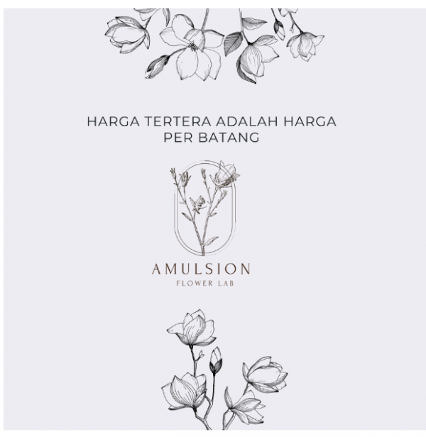 Bunga Dandelion Premium Artificial 56,5cm Impor Dekorasi Properti Foto - Champagne