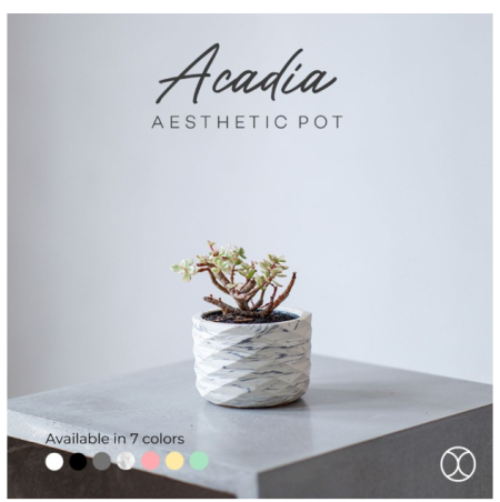 CONCREATE Pot Kaktus Acadia 10 cm / Pot Tanaman / Dekorasi Meja - Putih
