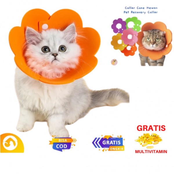 Pet Protection Collar Colar Kucing Pelindung Penutup Leher Free Multivitamin