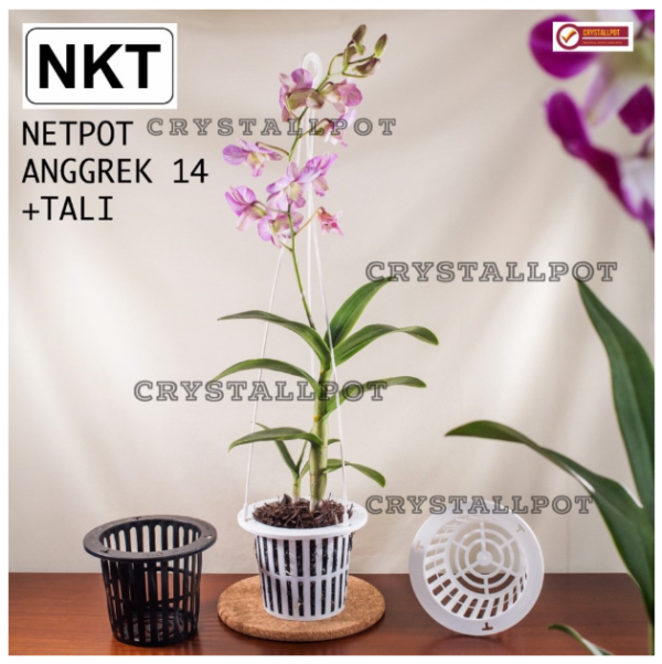 pot bunga anggrek 14cm +gantungan