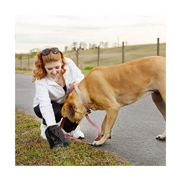 Naturetouch Pet Supply Dog Poop Bags, Goggie Bags for Poop