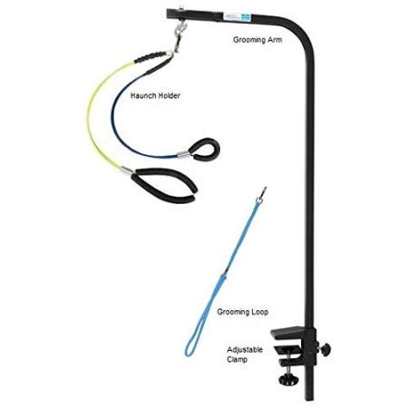 Downtown Pet Supply - Dog Grooming Supplies