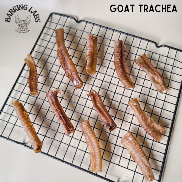 Goat Trachea - Barking Labs Dehydrated Dog Chews & Treats