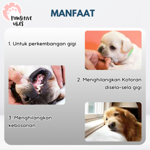 Dentalstick Pawsitive Vibes untuk Anjing - Dog Treats - Snack Anjing - Pembersih Gigi Anjing