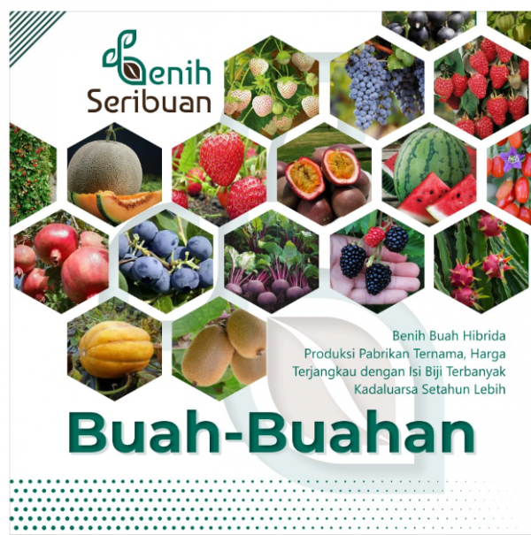 Bibit Buah Buahan Hibrida Benih Tanaman Buah Unggul Strawberry Melon