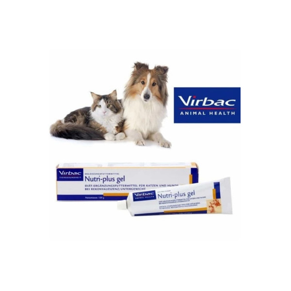Nutrigel Plus Kucing Anjing Vitamin Anjing Kucing High Quality