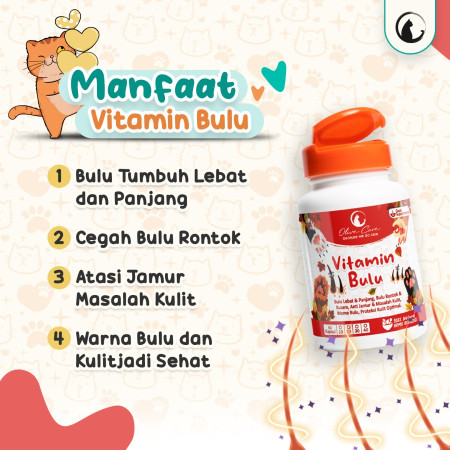Olive Care Vitamin Kucing BULU Lebat Panjang Cegah Jamur & Bulu Rontok - 10 Kapsul