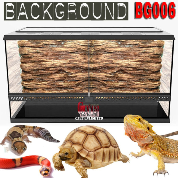 Background peralatan kandang reptile ikan terrarium aquarium