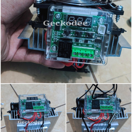 Inkubator Betina Leopard Gecko Pendingin Peltier set