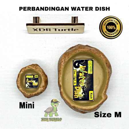 ROCK BOWL SIZE MINI / FEEDING WATER DISH IGGUANA KADAL BEARDED DRAGON