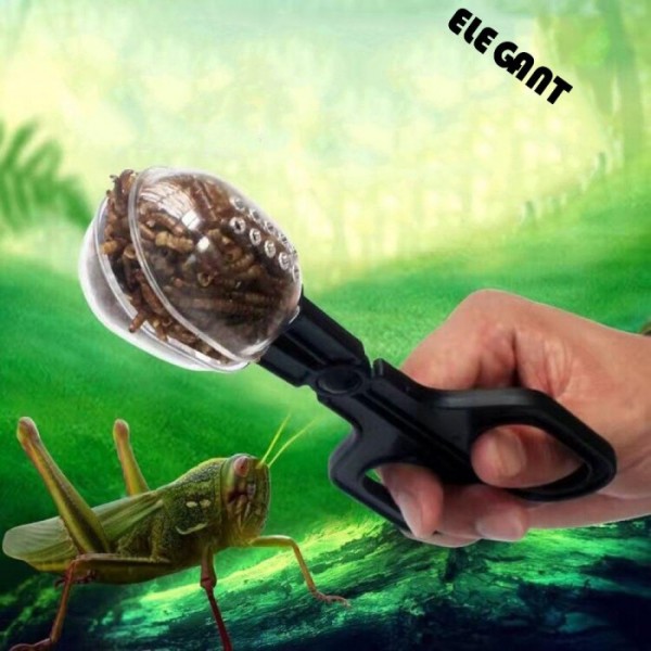 Klip Reptil Warna Murni Klip Pertanian Serangga Peralatan