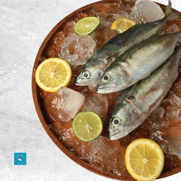 Ikan kembung banjar segar - Kecil , Utuh