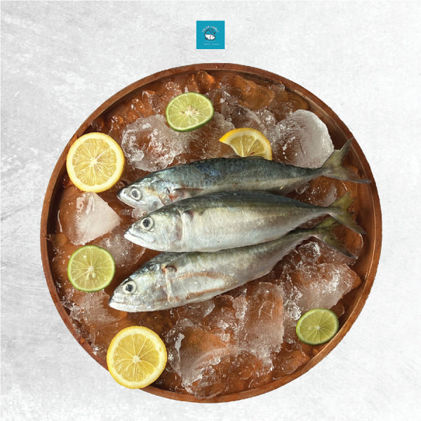 Ikan kembung banjar segar - Kecil , Utuh