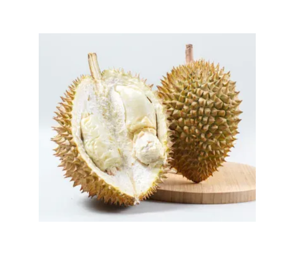 Durian Lokal