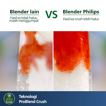 Philips Blender 3000 Series HR2042/41 - 290W Plastic - Regular