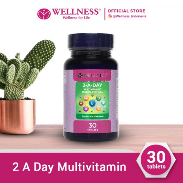Wellness Multivitamin/Mineral 2 A Day [30 Tablets]