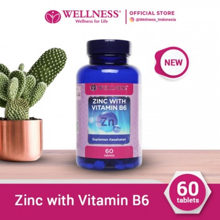 Wellness Zinc With Vitamin B6 [60 tablet]