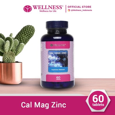 Wellness Cal/Mag/Zinc [60 Tablets]