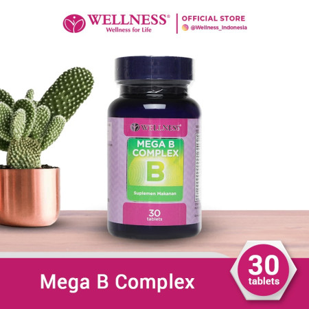 Wellness Mega B Complex [30 Tablets]