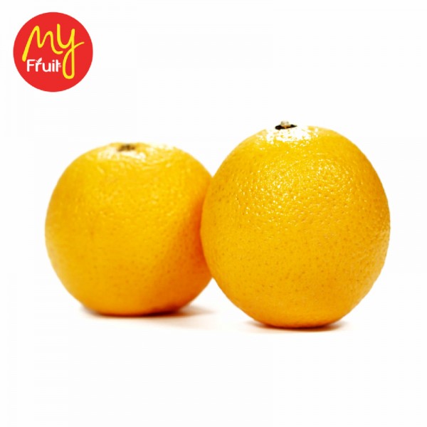 Jeruk Sunkist Navel
