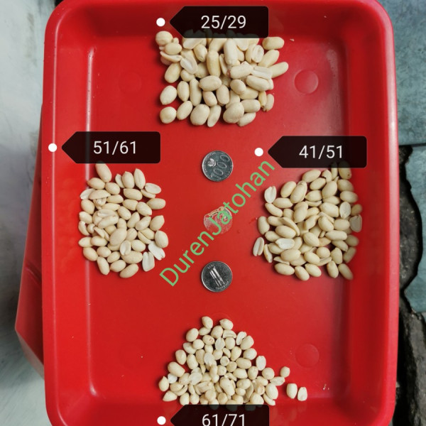 Kacang Tanah Kupas Mentah 61/71 Berat 1kg / 1000gr