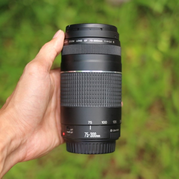 LENSA CANON 75-300MM