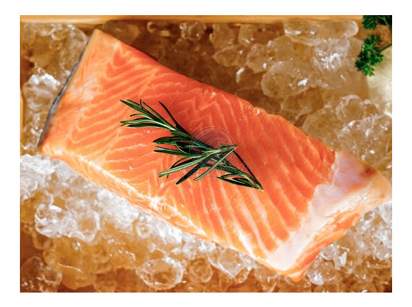 Ikan Salmon Trout Fresh Grade Sashimi 500 gram