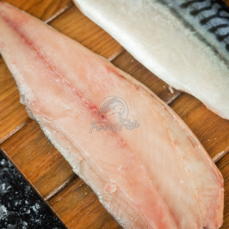 Ikan Saba Fillet / Makarel Fillet / Mackerel Fillet Norwegian