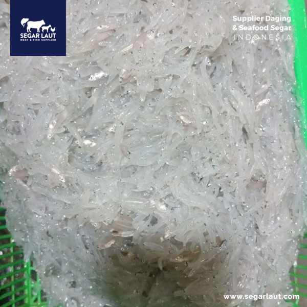 Ikan Teri Nasi Basah | MPASI | Anchovies | kualitas premium