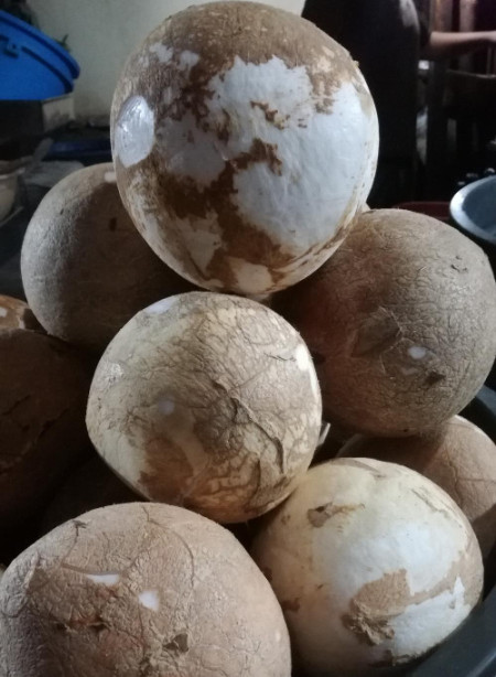 Kelapa Parut