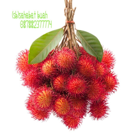 Rambutan Binjai