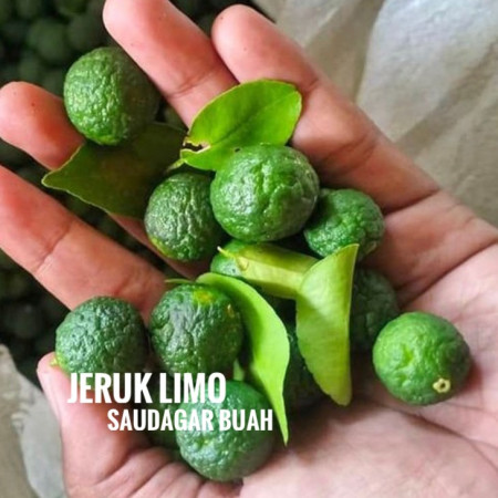 Jeruk Limo