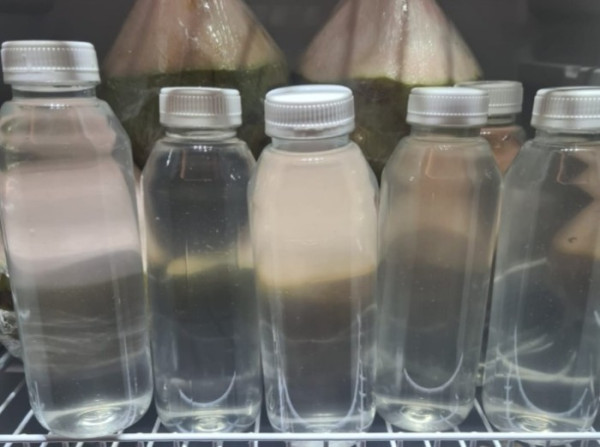 Green Coconut Water/ Minuman Sehat dan Segar | Air Kelapa Ijo Asli|