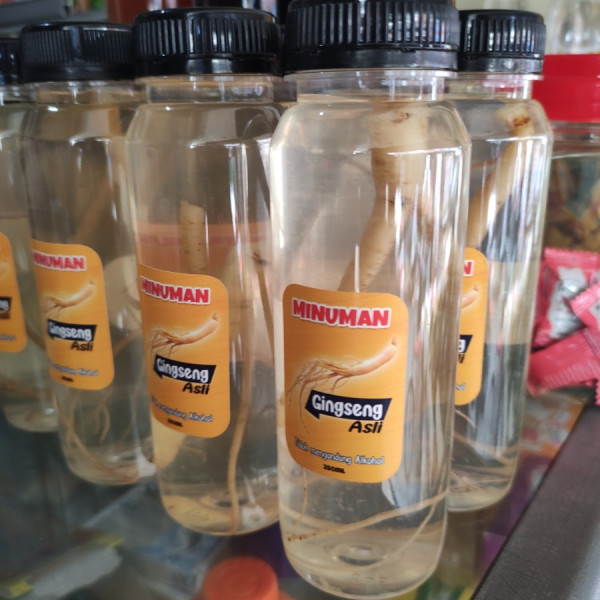 Minuman Ginseng Segar