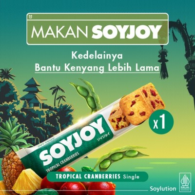 SOYJOY SNACK CEMILAN GLUTEN FREE | CAMILAN INSTAN DIET SEHAT SUPERFOOD - Cranberries