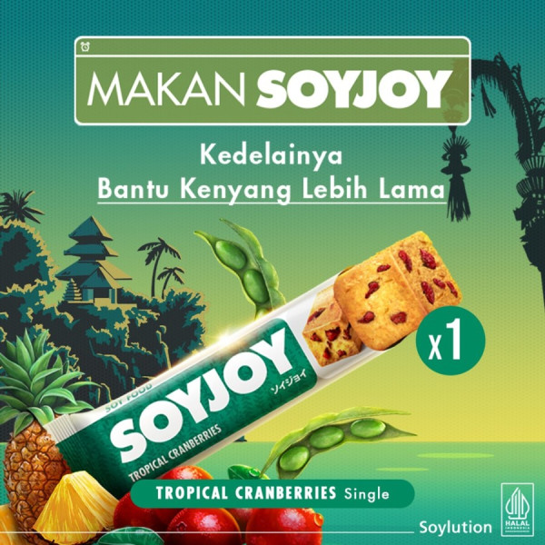 SOYJOY SNACK CEMILAN GLUTEN FREE | CAMILAN INSTAN DIET SEHAT SUPERFOOD - Cranberries