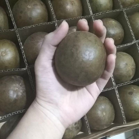 Buah Lo Han Kuo kering satuan