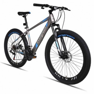 Sepeda Gunung MTB 27.5 Evergreen Discbrake 575