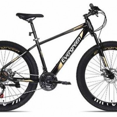 Sepeda Gunung MTB 27.5 Evergreen Discbrake 575